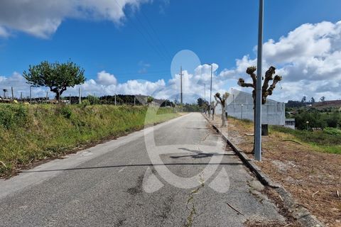 Helårsgrund i Soure, Coimbra, Soure - € 22.000 | Ref: cdx0724 - foto 5