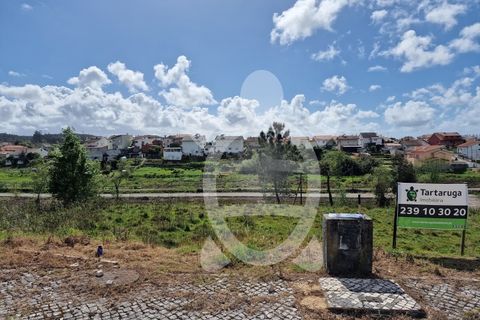 Helårsgrund i Soure, Coimbra, Soure - € 22.000 | Ref: cdx0724 - foto 8