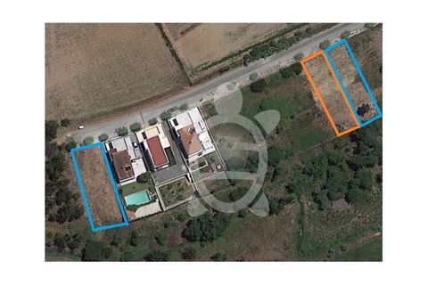 Tomt i Soure, Coimbra, Soure - € 22 000 | Ref: cdx0723 - foto 2