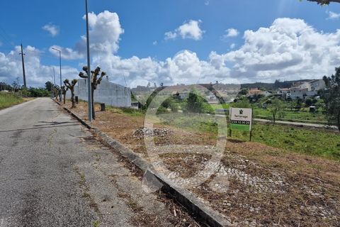 Tomt i Soure, Coimbra, Soure - € 22 000 | Ref: cdx0723 - foto 5