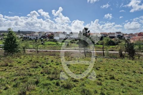 Tomt i Soure, Coimbra, Soure - € 22 000 | Ref: cdx0723 - foto 6