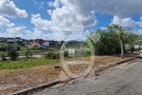 Tomt i Soure, Coimbra, Soure - € 22 000 | Ref: cdx0723 - foto 8