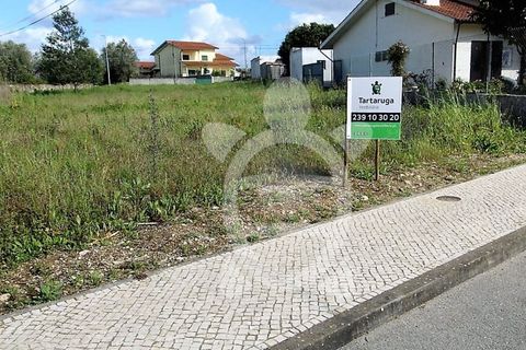Helårsgrund i Condeixa-a-Nova, Coimbra, Condeixa-a-Nova - € 85.000 | Ref: cdx0719 - foto 3