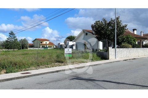 Helårsgrund i Condeixa-a-Nova, Coimbra, Condeixa-a-Nova - € 85.000 | Ref: cdx0719 - foto 4