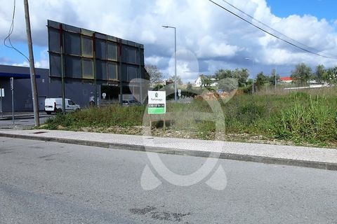 Helårsgrund i Condeixa-a-Nova, Coimbra, Condeixa-a-Nova - € 85.000 | Ref: cdx0719 - foto 6