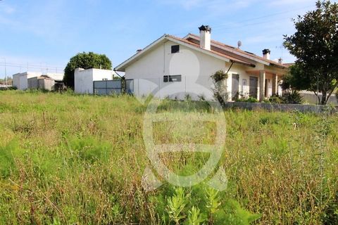 Helårsgrund i Condeixa-a-Nova, Coimbra, Condeixa-a-Nova - € 85.000 | Ref: cdx0719 - foto 7