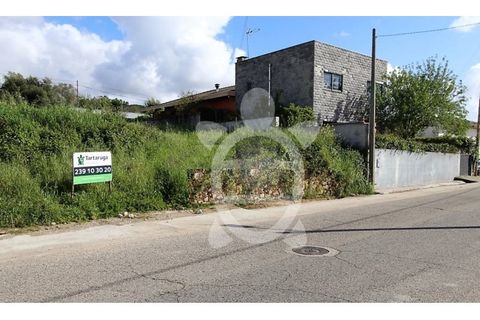 Helårsgrund i Coimbra, Coimbra, Coimbra - € 55.000 | Ref: cdx0720 - foto 5
