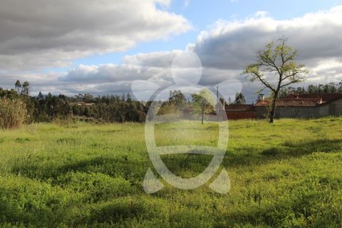 Tomt i Condeixa-a-Nova, Coimbra, Condeixa-a-Nova - € 49 500 | Ref: cdx0718 - foto 2