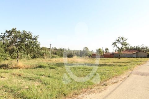 Tomt i Condeixa-a-Nova, Coimbra, Condeixa-a-Nova - € 49 500 | Ref: cdx0718 - foto 3