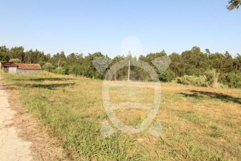Tomt i Condeixa-a-Nova, Coimbra, Condeixa-a-Nova - € 49 500 | Ref: cdx0718 - foto 4