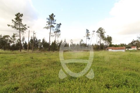Tomt i Condeixa-a-Nova, Coimbra, Condeixa-a-Nova - € 49 500 | Ref: cdx0718 - foto 5