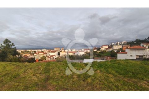 Helårsgrund i Coimbra, Coimbra, Coimbra - € 279.500 | Ref: cbr2868 - foto 11