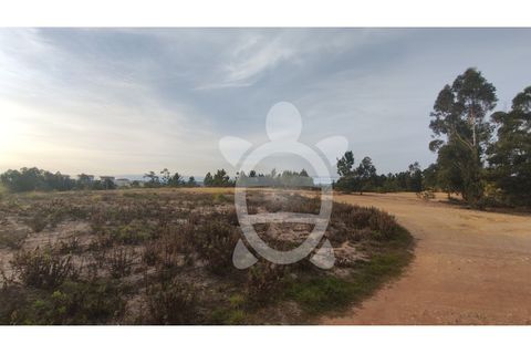 Helårsgrund i Coimbra, Coimbra, Coimbra - € 279.500 | Ref: cbr2868 - foto 12
