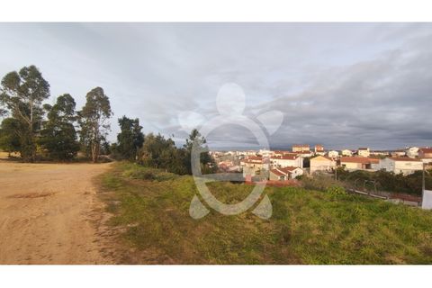 Helårsgrund i Coimbra, Coimbra, Coimbra - € 279.500 | Ref: cbr2868 - foto 13