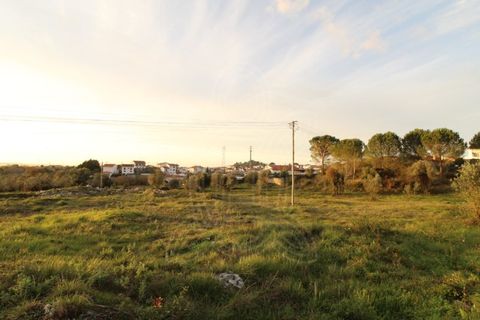 Helårsgrund i Cernache, Coimbra, Cernache - € 80.000 | Ref: cbr2830 - foto 3