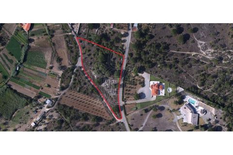 Helårsgrund i Cernache, Coimbra, Cernache - € 80.000 | Ref: cbr2830 - foto 2