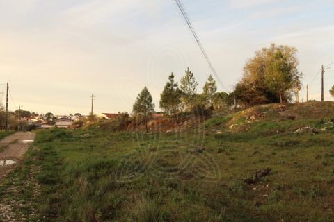 Helårsgrund i Cernache, Coimbra, Cernache - € 80.000 | Ref: cbr2830 - foto 4