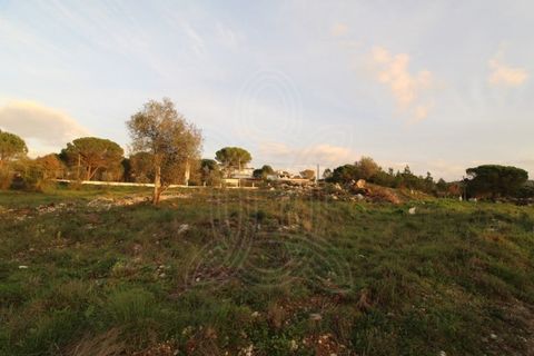 Helårsgrund i Cernache, Coimbra, Cernache - € 80.000 | Ref: cbr2830 - foto 5