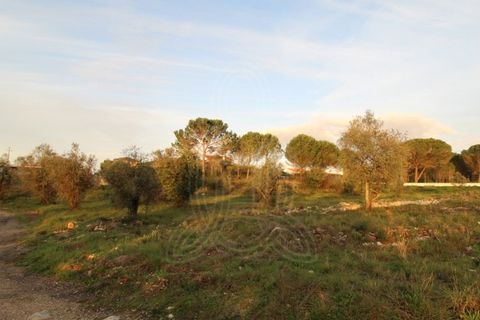 Helårsgrund i Cernache, Coimbra, Cernache - € 80.000 | Ref: cbr2830 - foto 6
