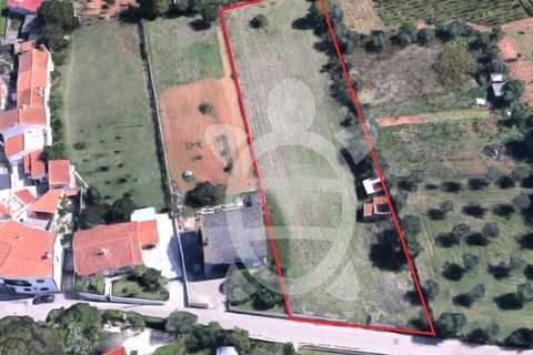 Helårsgrund i Cernache, Coimbra, Cernache - € 95.000 | Ref: cbr2822 - foto 1