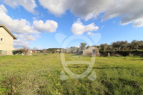 Helårsgrund i Cernache, Coimbra, Cernache - € 95.000 | Ref: cbr2822 - foto 2