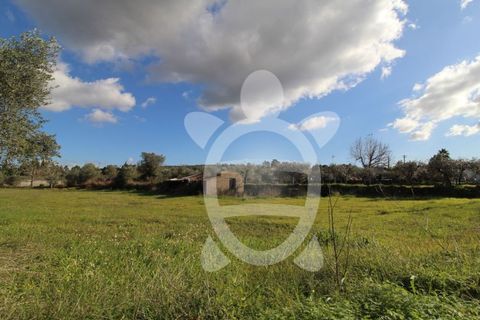 Helårsgrund i Cernache, Coimbra, Cernache - € 95.000 | Ref: cbr2822 - foto 4