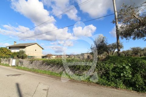 Helårsgrund i Cernache, Coimbra, Cernache - € 95.000 | Ref: cbr2822 - foto 5