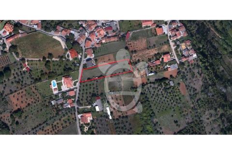 Helårsgrund i Cernache, Coimbra, Cernache - € 95.000 | Ref: cbr2822 - foto 6