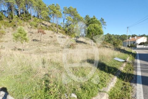 Grond in Cernache, Coimbra, Cernache - € 47.000 | Ref: cbr2813 - foto 4