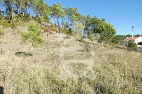 Grond in Cernache, Coimbra, Cernache - € 47.000 | Ref: cbr2813 - foto 5