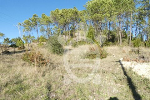 Grond in Cernache, Coimbra, Cernache - € 47.000 | Ref: cbr2813 - foto 6