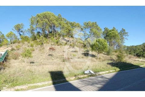 Grond in Cernache, Coimbra, Cernache - € 47.000 | Ref: cbr2813 - foto 7