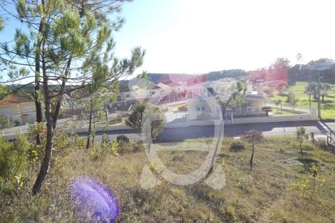 Grond in Cernache, Coimbra, Cernache - € 47.000 | Ref: cbr2813 - foto 10