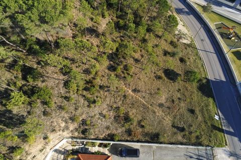 Grond in Cernache, Coimbra, Cernache - € 47.000 | Ref: cbr2813 - foto 14