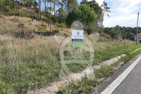 Grond in Cernache, Coimbra, Cernache - € 47.000 | Ref: cbr2813 - foto 15