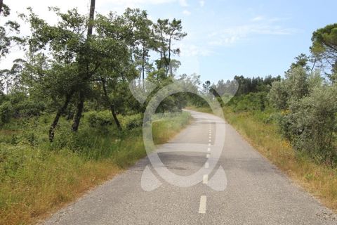Terra a Condeixa-a-Nova, Coimbra, Condeixa-a-Nova - € 62.500 | Ref: cdx0658 - foto 4