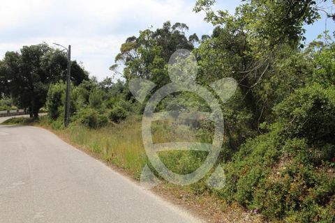 Terra a Condeixa-a-Nova, Coimbra, Condeixa-a-Nova - € 62.500 | Ref: cdx0658 - foto 3