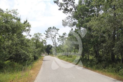 Terra a Condeixa-a-Nova, Coimbra, Condeixa-a-Nova - € 62.500 | Ref: cdx0658 - foto 5