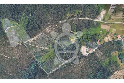 Helårsgrund i Coimbra, Coimbra, Coimbra - € 40.000 | Ref: cbr2770 - foto 2