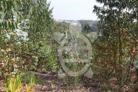 Helårsgrund i Coimbra, Coimbra, Coimbra - € 40.000 | Ref: cbr2770 - foto 6