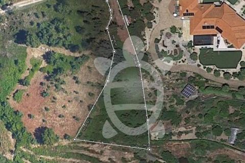 Helårsgrund i Coimbra, Coimbra, Coimbra - € 40.000 | Ref: cbr2770 - foto 22