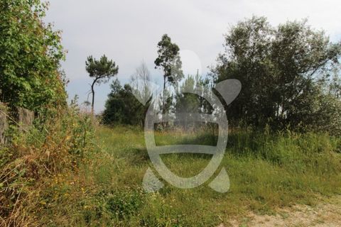 Helårsgrund i Coimbra, Coimbra, Coimbra - € 40.000 | Ref: cbr2770 - foto 23