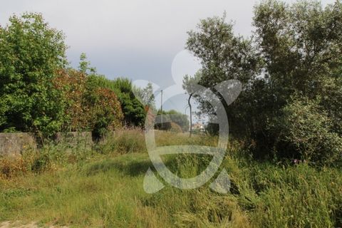 Helårsgrund i Coimbra, Coimbra, Coimbra - € 40.000 | Ref: cbr2770 - foto 24
