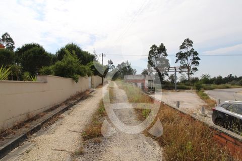 Helårsgrund i Coimbra, Coimbra, Coimbra - € 40.000 | Ref: cbr2770 - foto 25
