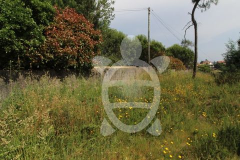 Helårsgrund i Coimbra, Coimbra, Coimbra - € 40.000 | Ref: cbr2770 - foto 26