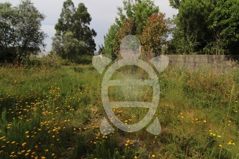 Helårsgrund i Coimbra, Coimbra, Coimbra - € 40.000 | Ref: cbr2770 - foto 28