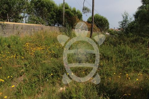 Helårsgrund i Coimbra, Coimbra, Coimbra - € 40.000 | Ref: cbr2770 - foto 29