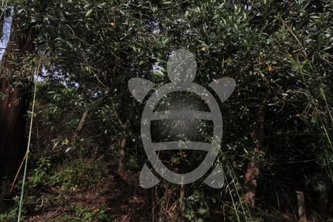 Helårsgrund i Coimbra, Coimbra, Coimbra - € 40.000 | Ref: cbr2770 - foto 32