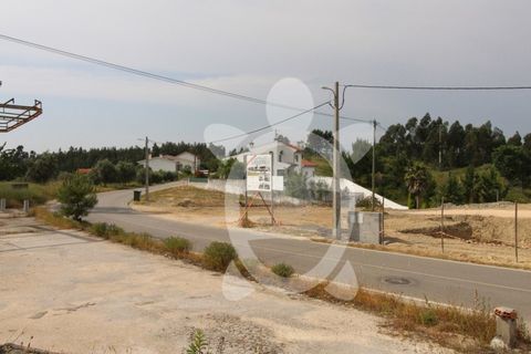 Helårsgrund i Coimbra, Coimbra, Coimbra - € 40.000 | Ref: cbr2770 - foto 34