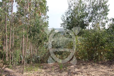 Helårsgrund i Coimbra, Coimbra, Coimbra - € 35.000 | Ref: cbr2771 - foto 3